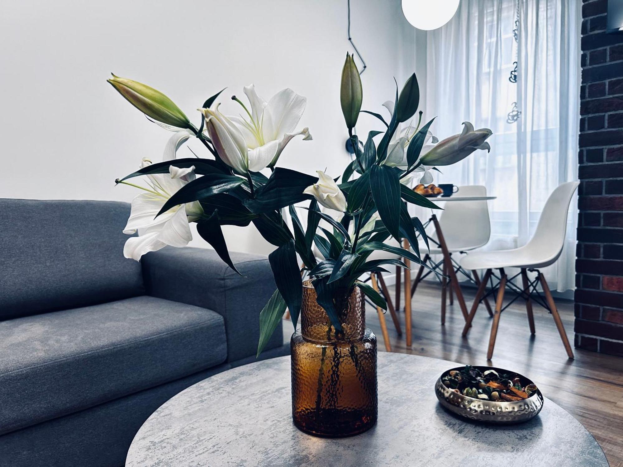 Apartment Rydygiera14 Breslau